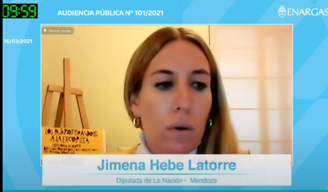Exposición de Jimena Latorre en la Audiencia Pública del Gas