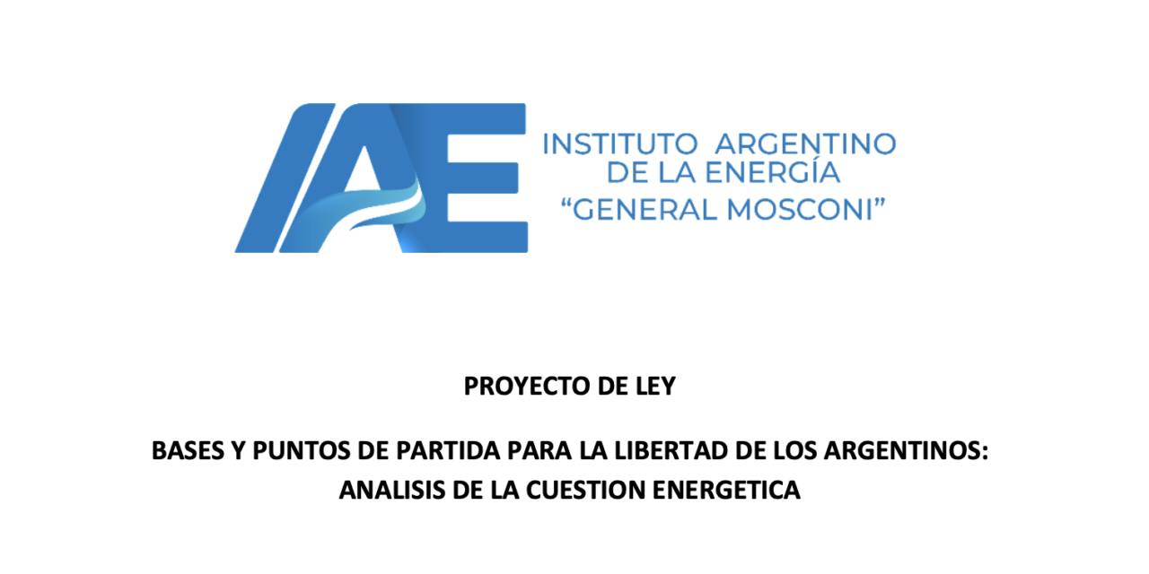 BASES Y PUNTOS DE PARTIDA PARA LA LIBERTAD DE LOS ARGENTINOS: ANALISIS DE LA CUESTION ENERGETICA