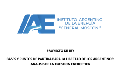 BASES Y PUNTOS DE PARTIDA PARA LA LIBERTAD DE LOS ARGENTINOS: ANALISIS DE LA CUESTION ENERGETICA