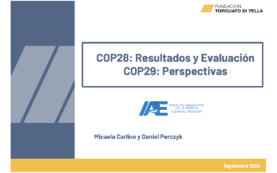 COP28: Resultados y Evaluación COP29: Perspectivas