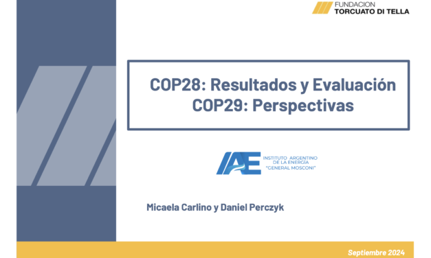 COP28: Resultados y Evaluación COP29: Perspectivas